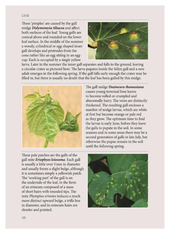 Exemple de page