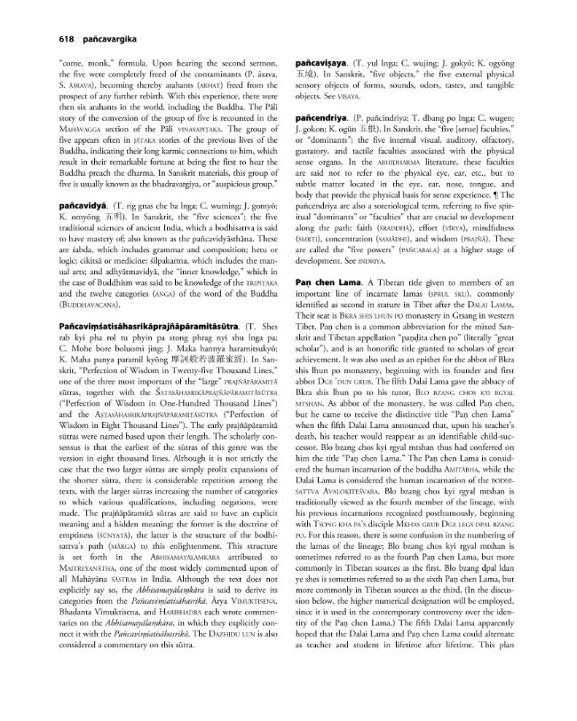 Pagina campione