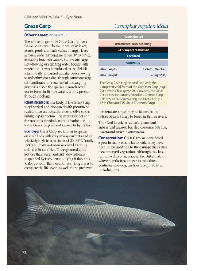 Probeseite