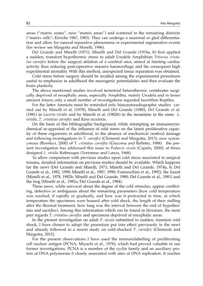sample_page