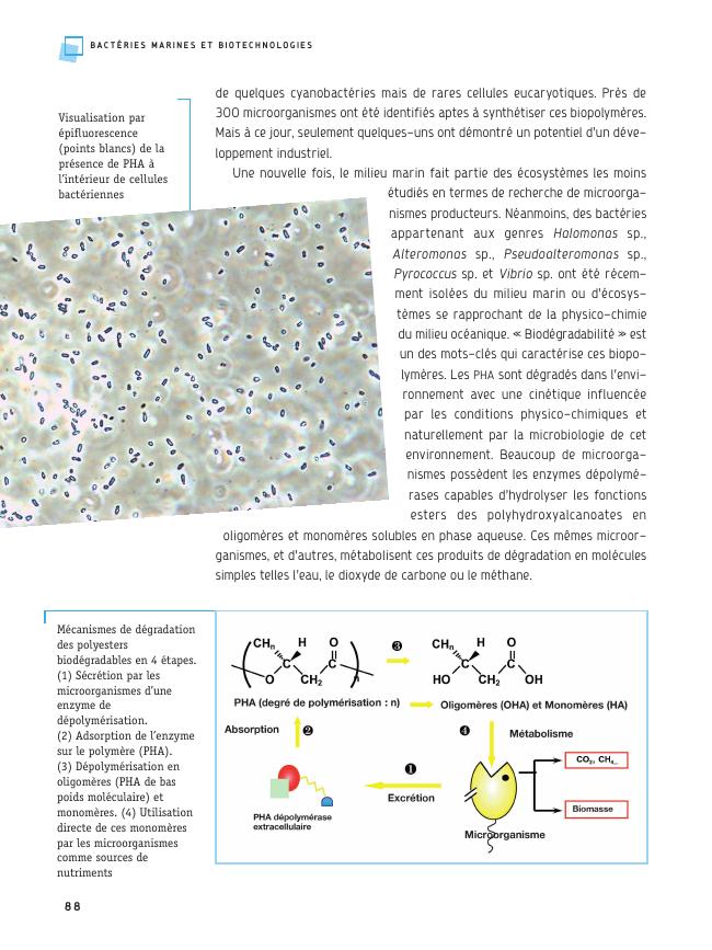 sample_page