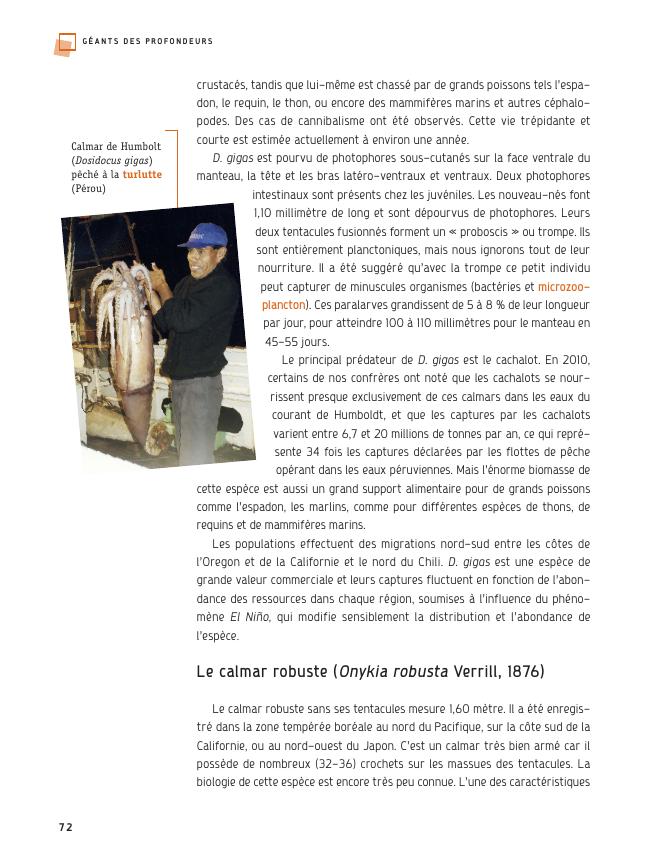sample_page