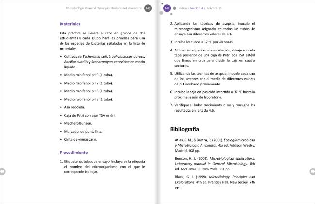 Pagina campione