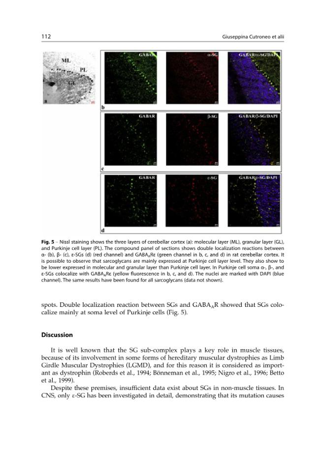 sample_page