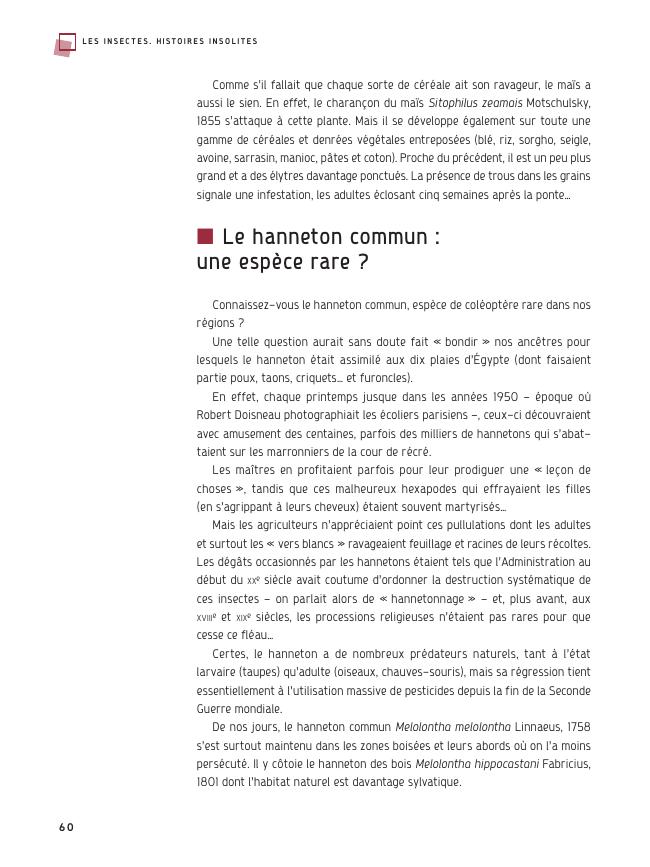 Exemple de page