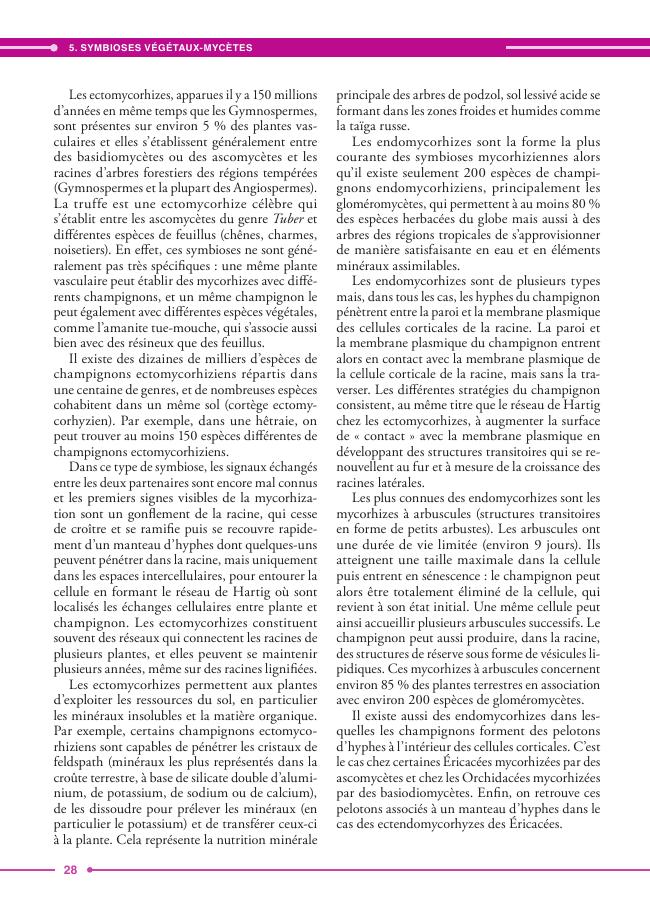 Exemple de page