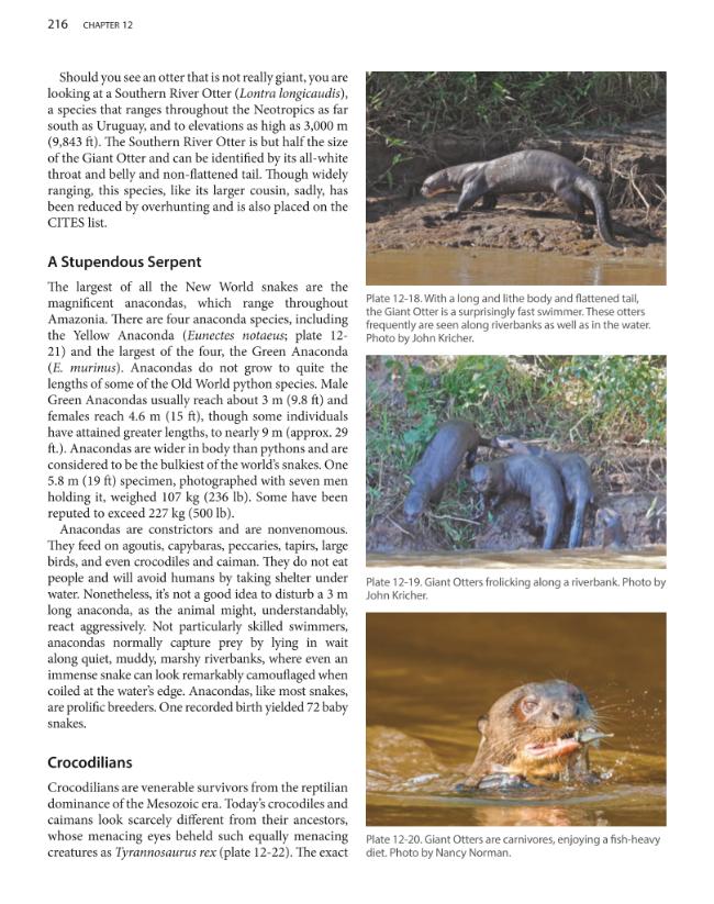 Exemple de page