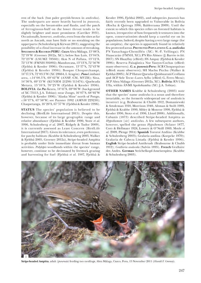 Sample page
