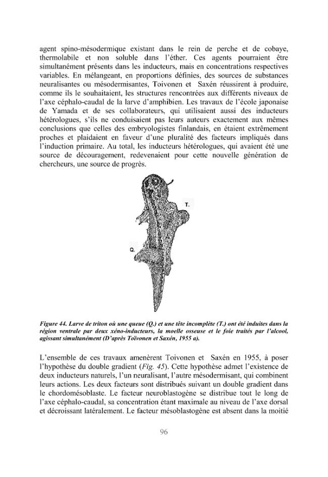 Exemple de page