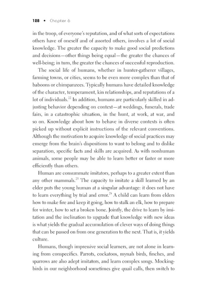 Exemple de page