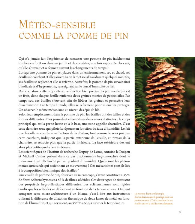 Sample page