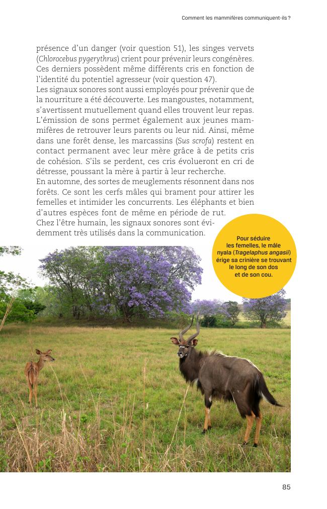 Probeseite