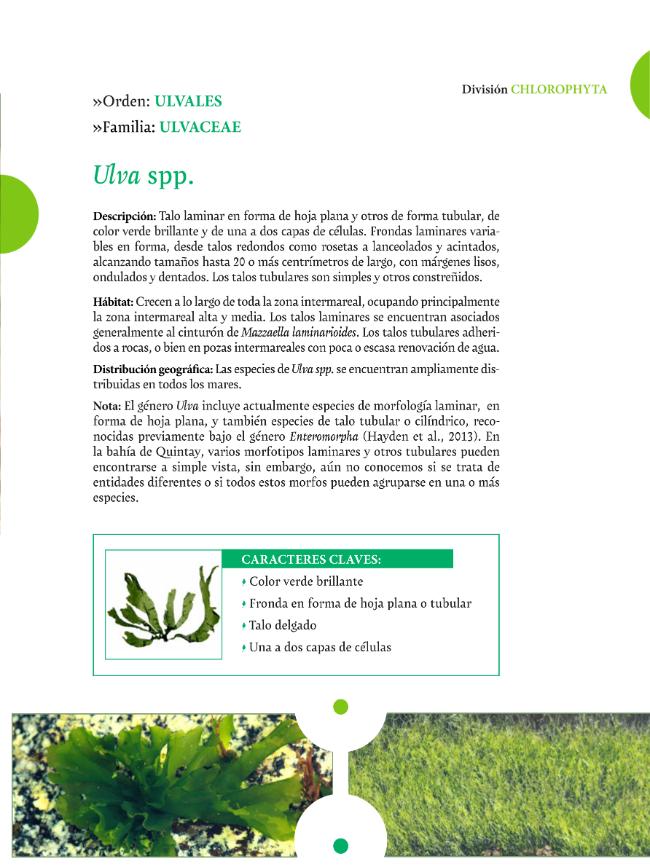 Exemple de page