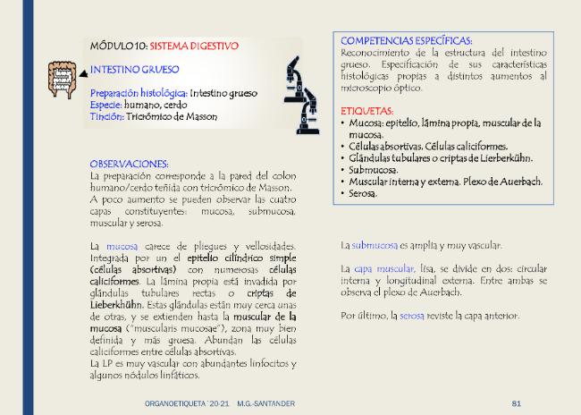 Probeseite