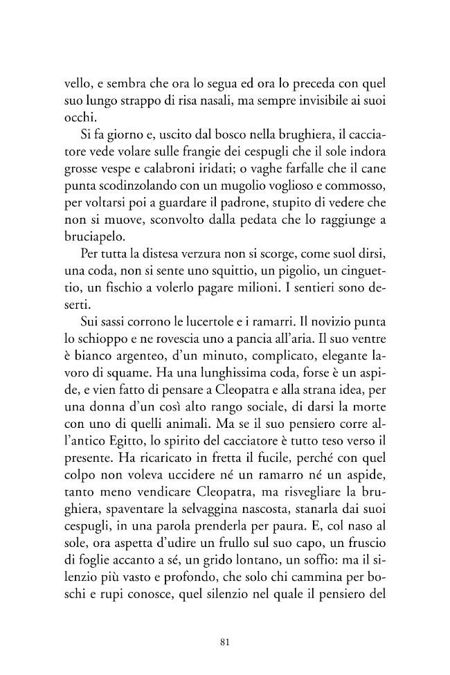 Probeseite