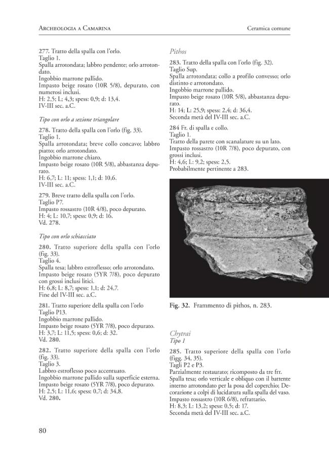 Pagina campione