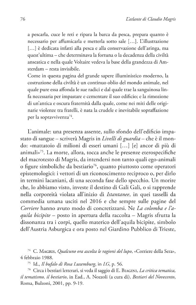 Pagina campione