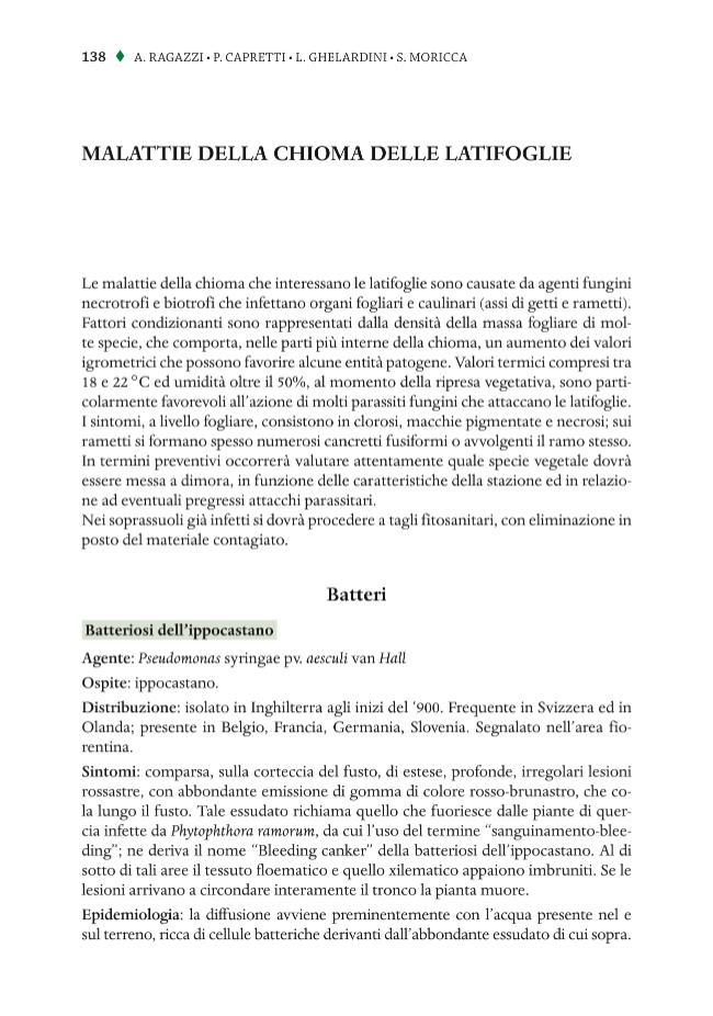 Probeseite