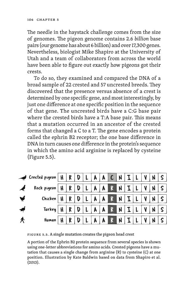 Exemple de page