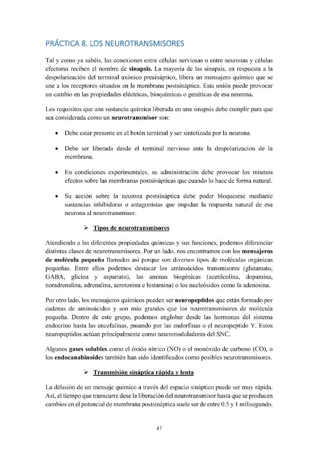 Pagina campione