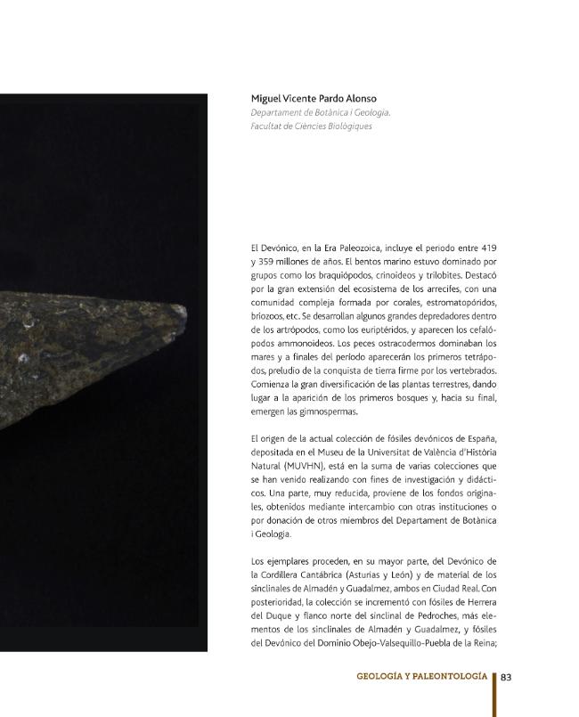 Probeseite