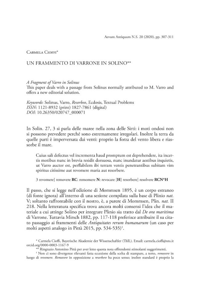 Pagina campione