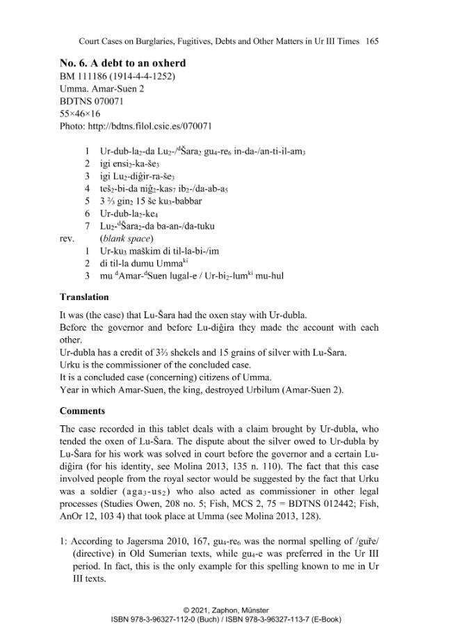 Pagina campione
