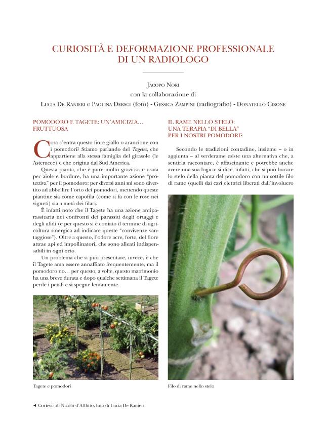 Pagina campione