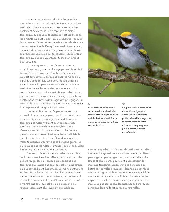 Exemple de page