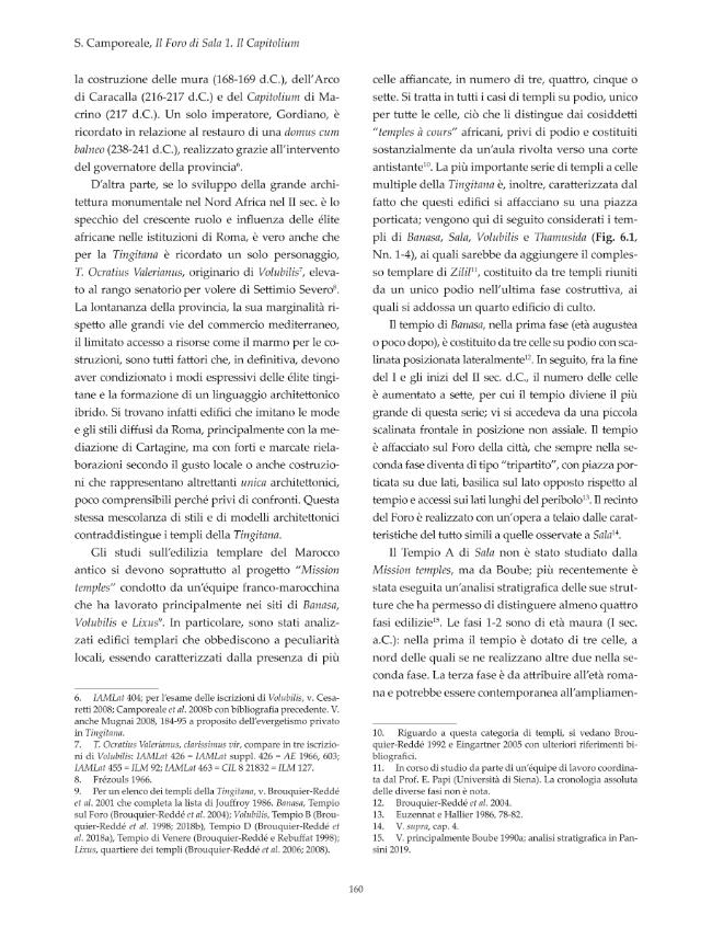 Pagina campione