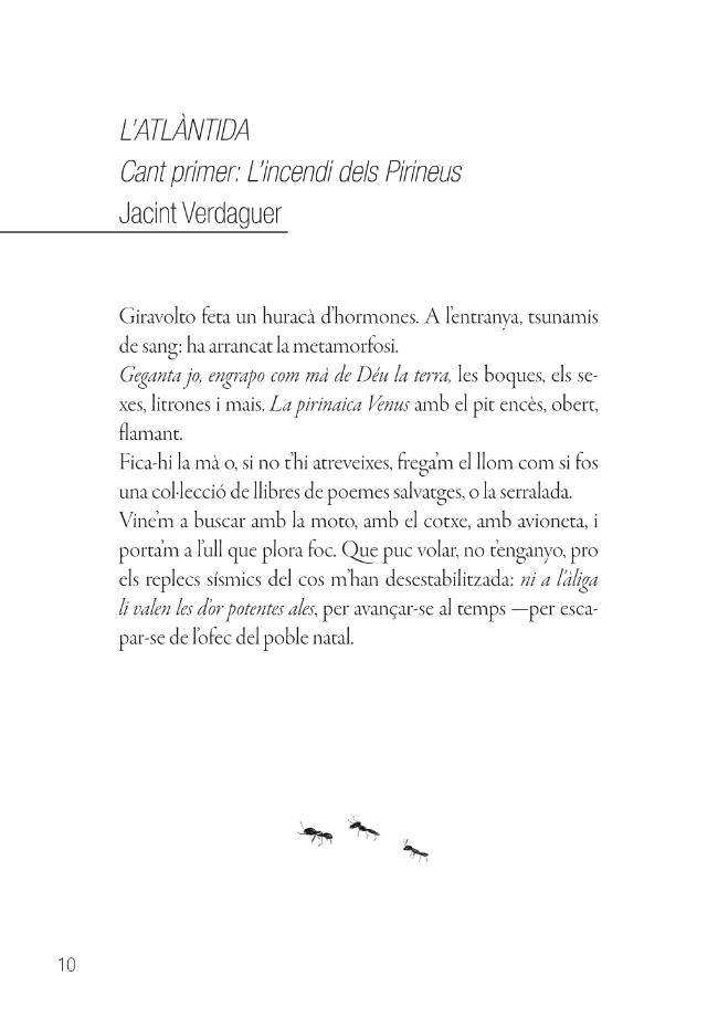 Pagina campione