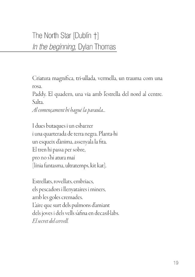 Pagina campione