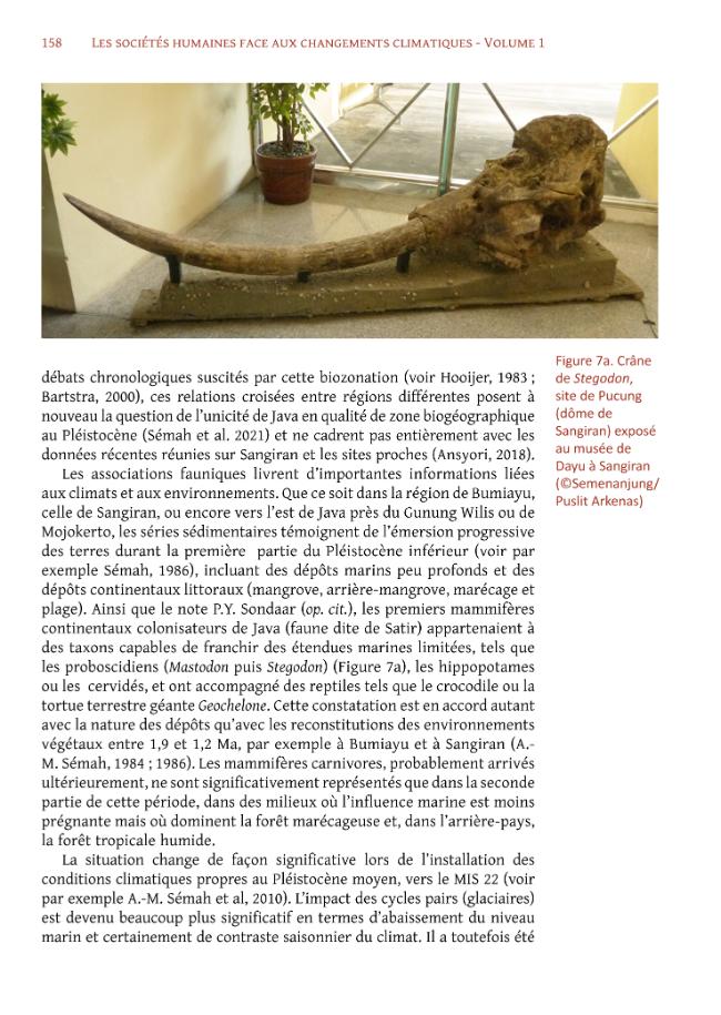 Página de muestra