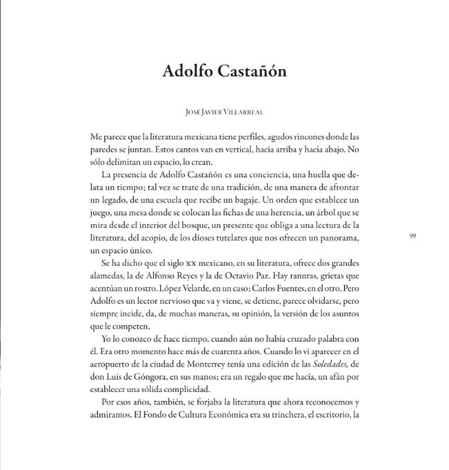 Pagina campione