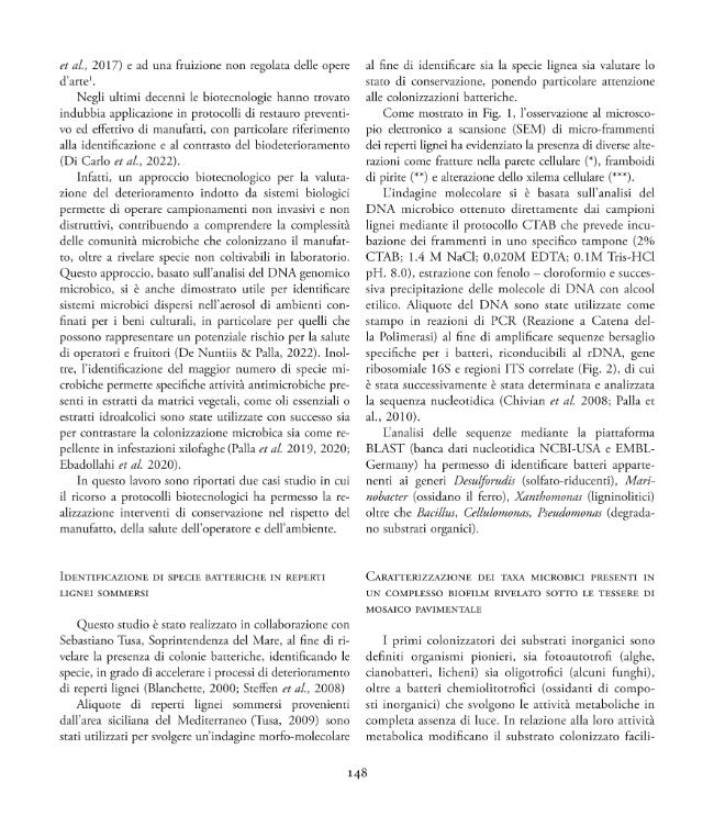Pagina campione