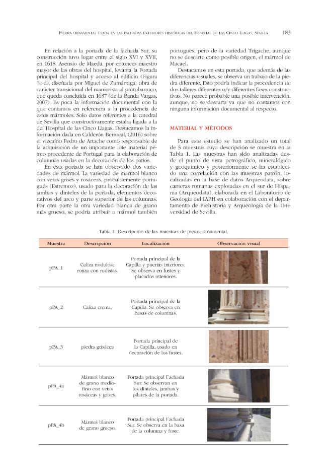 Pagina campione