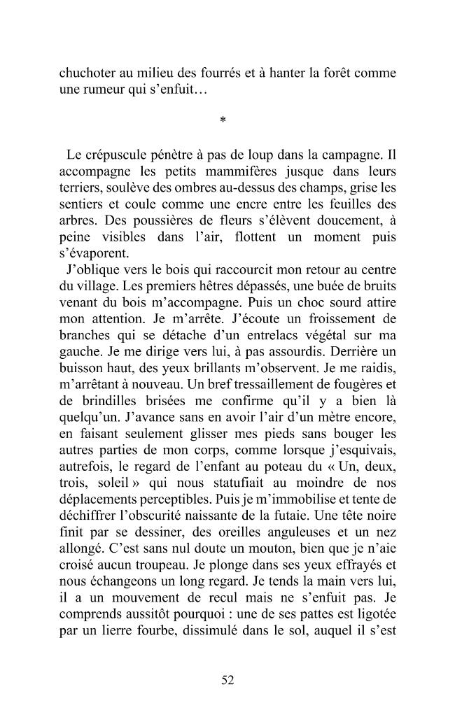 Probeseite