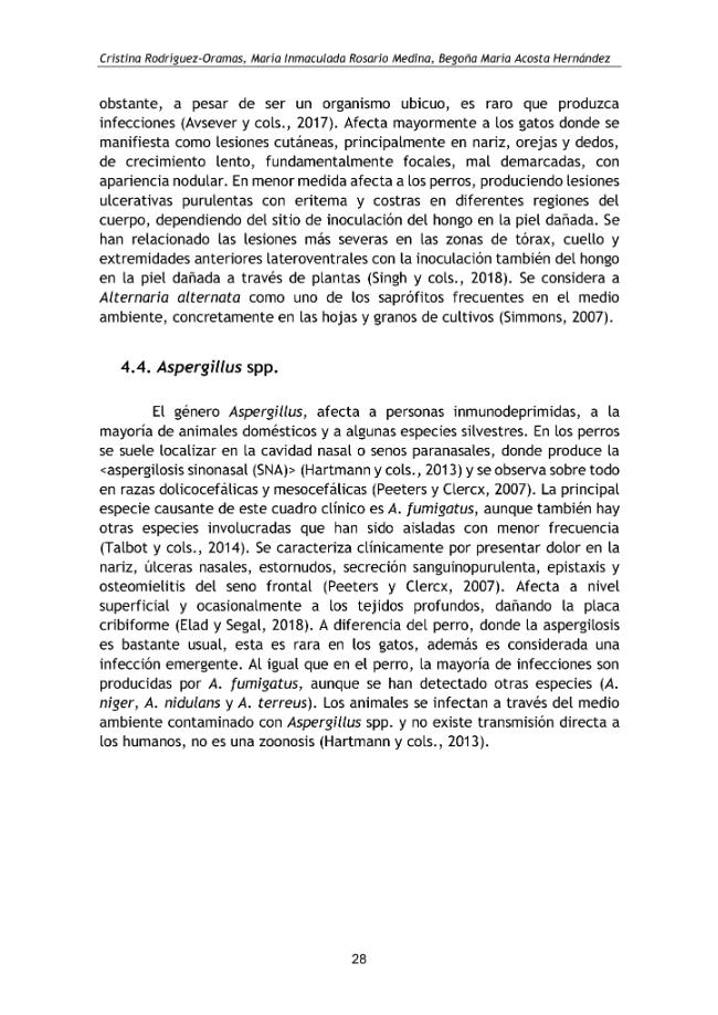 Pagina campione