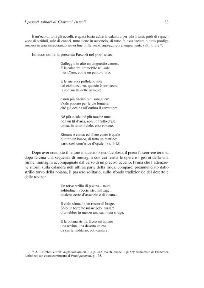 Pagina campione