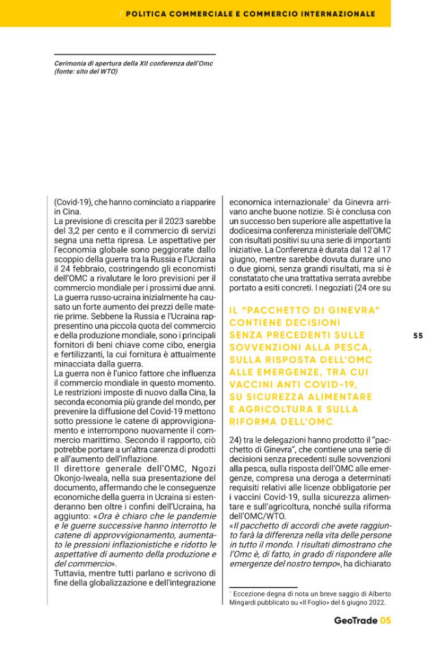 Pagina campione