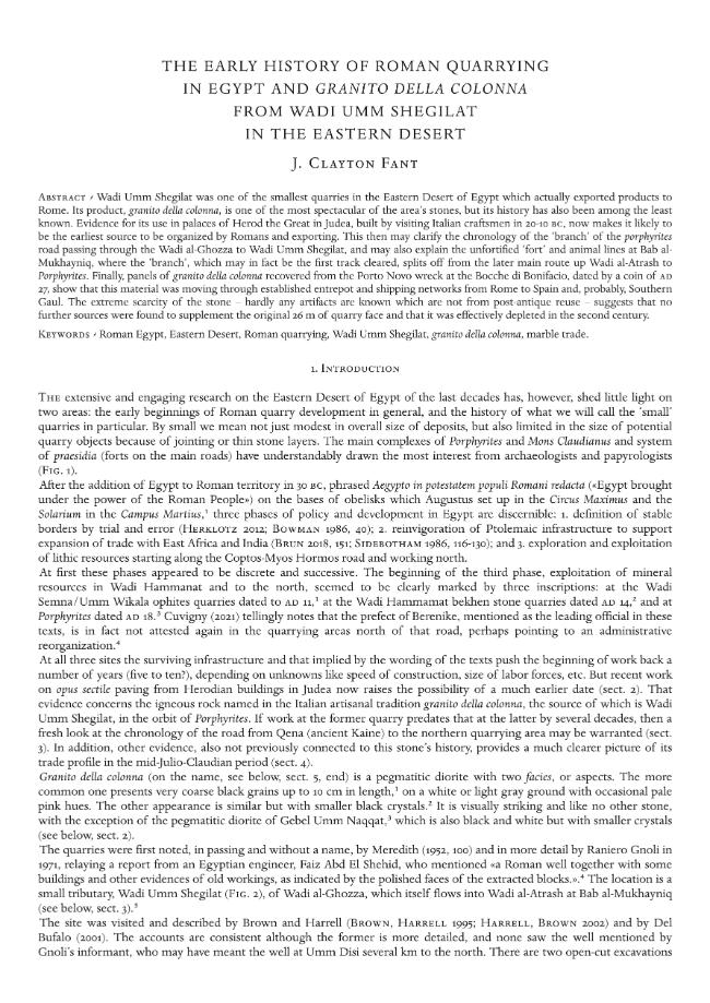 Pagina campione