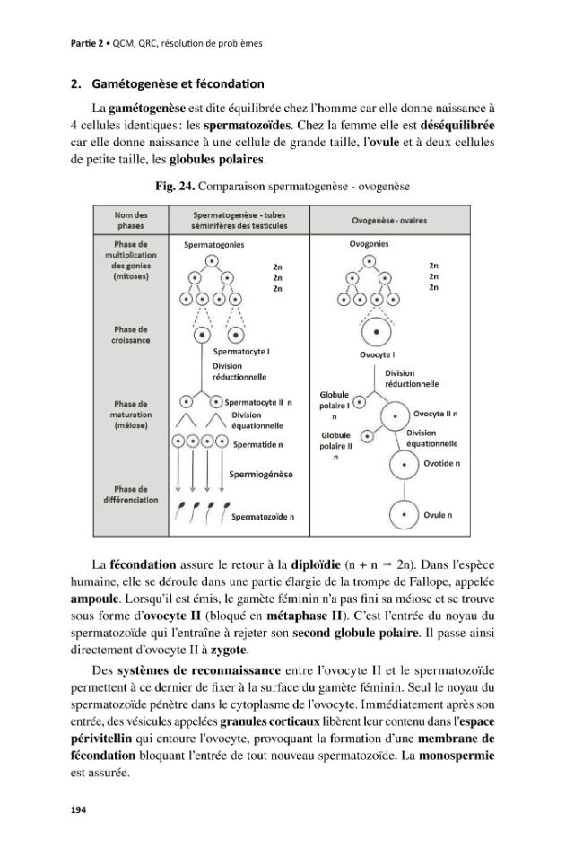 Probeseite