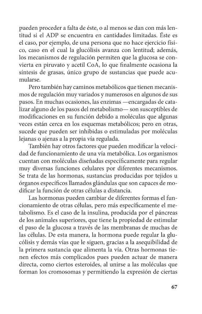 Probeseite