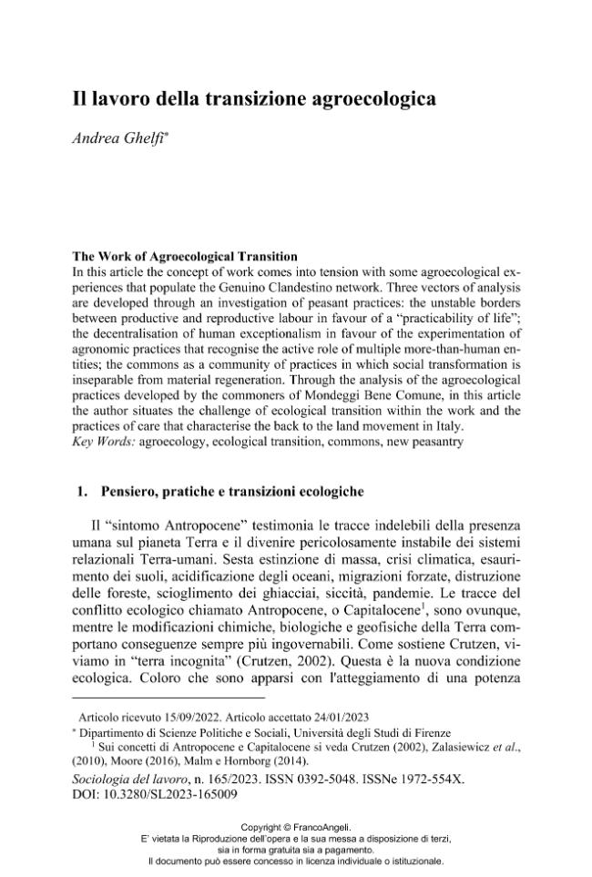 Pagina campione
