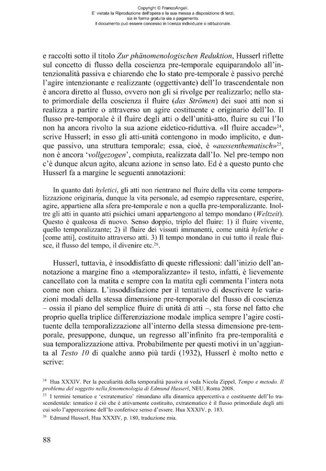 Pagina campione