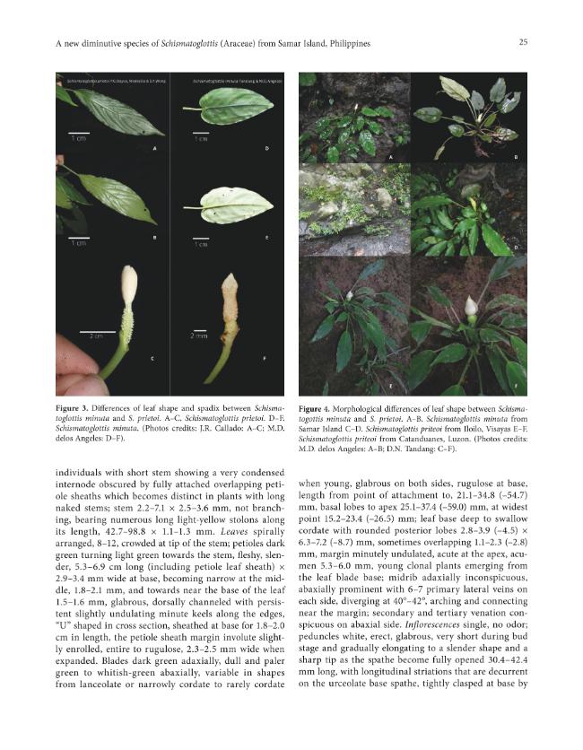 Exemple de page