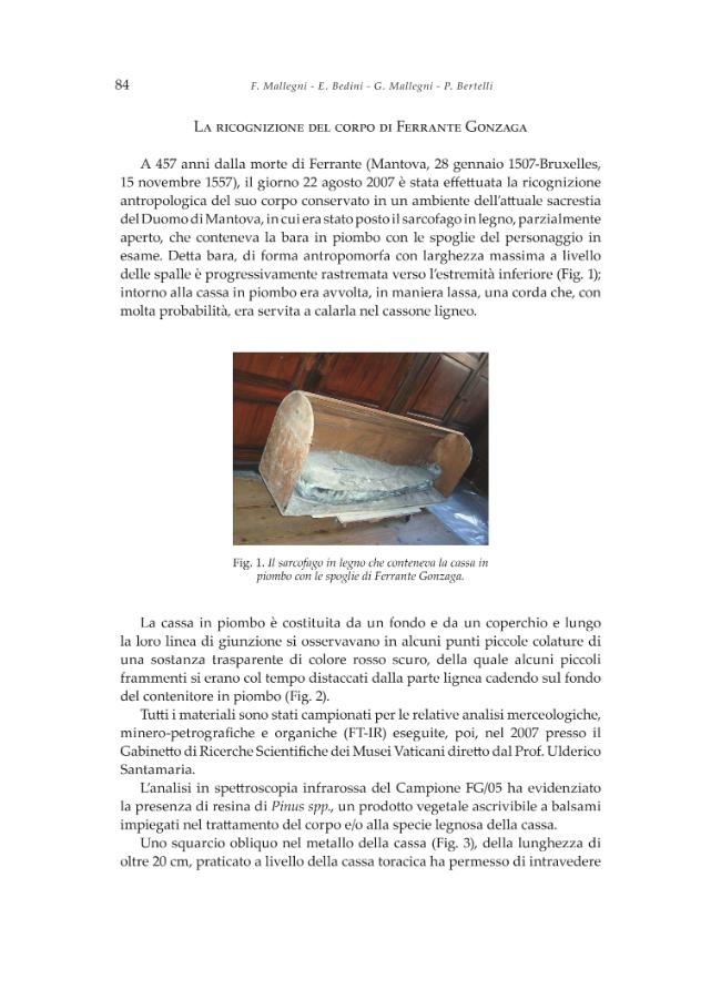 Pagina campione