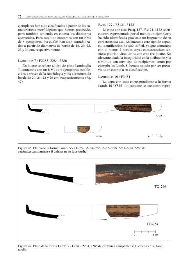 Pagina campione