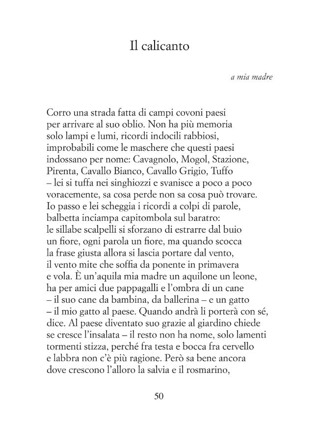 Probeseite