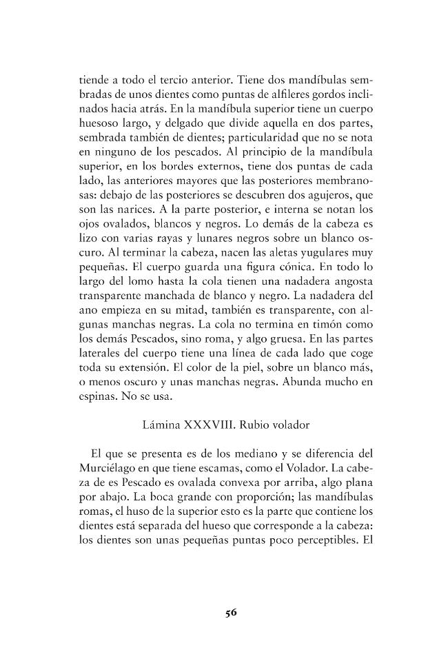 Página de muestra